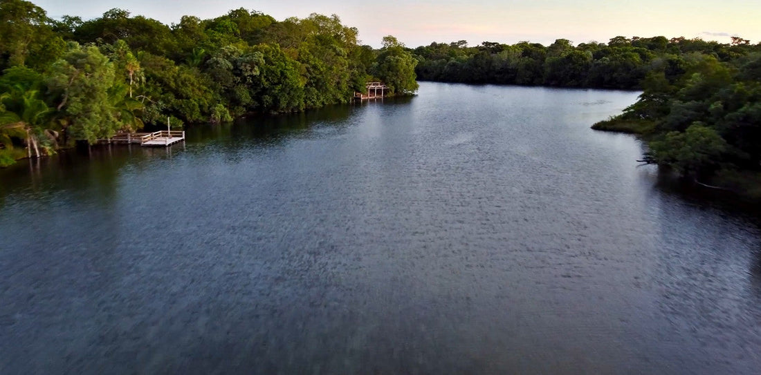 Discover the Beni Biosphere Reserve