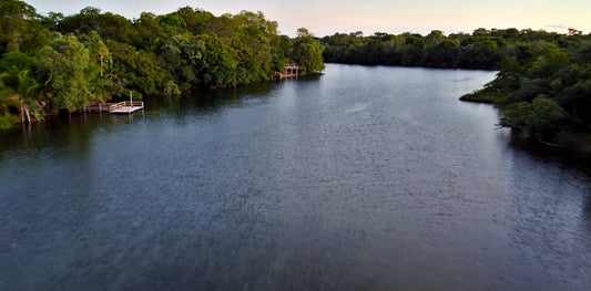 Discover the Beni Biosphere Reserve