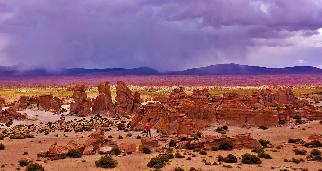 Tupiza y los Valles Altiplánicos