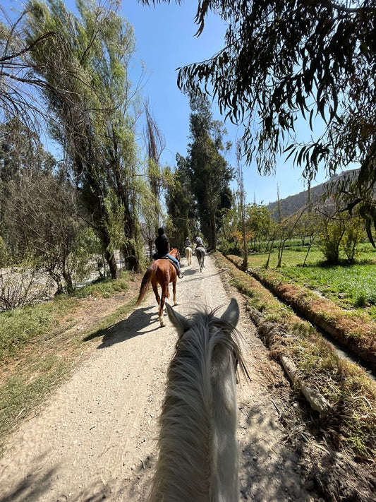 Cabalgatas