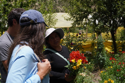 La Paz Valley of the Flowers in ATV 