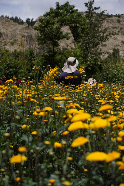 La Paz Valley of the Flowers in ATV 