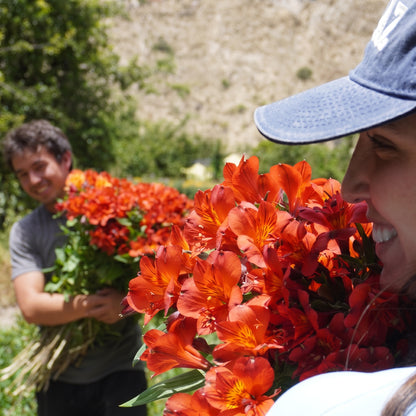 La Paz Valley of the Flowers in ATV 
