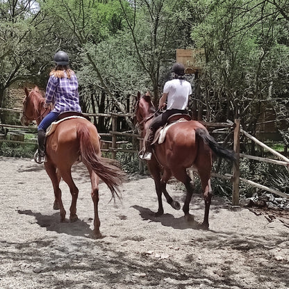 Valles Paceños a Caballo!