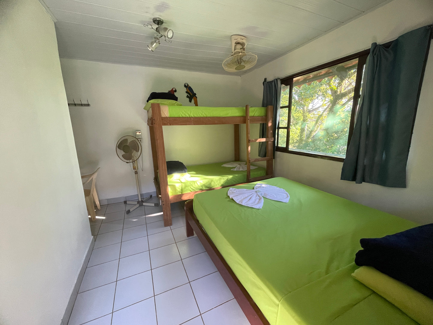 Tour de Selva Amazonica y Pampas