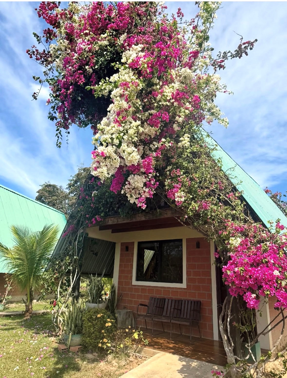 Cabañas San Felipe