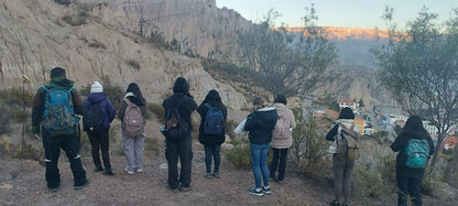 Aviturismo en Bosquecillo de Auquisamaña