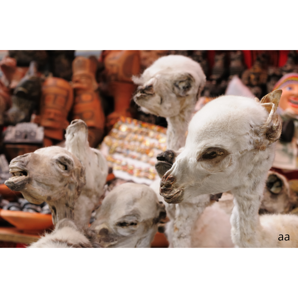 Mercado de las Brujas de La Paz — El mercado más misterioso de Bolivia