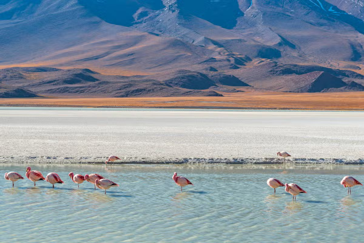 3-day tour of the Salar de Uyuni